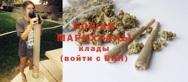 гидропоника Карпинск
