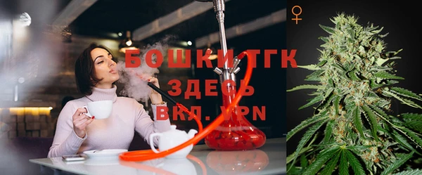 гидропоника Карпинск
